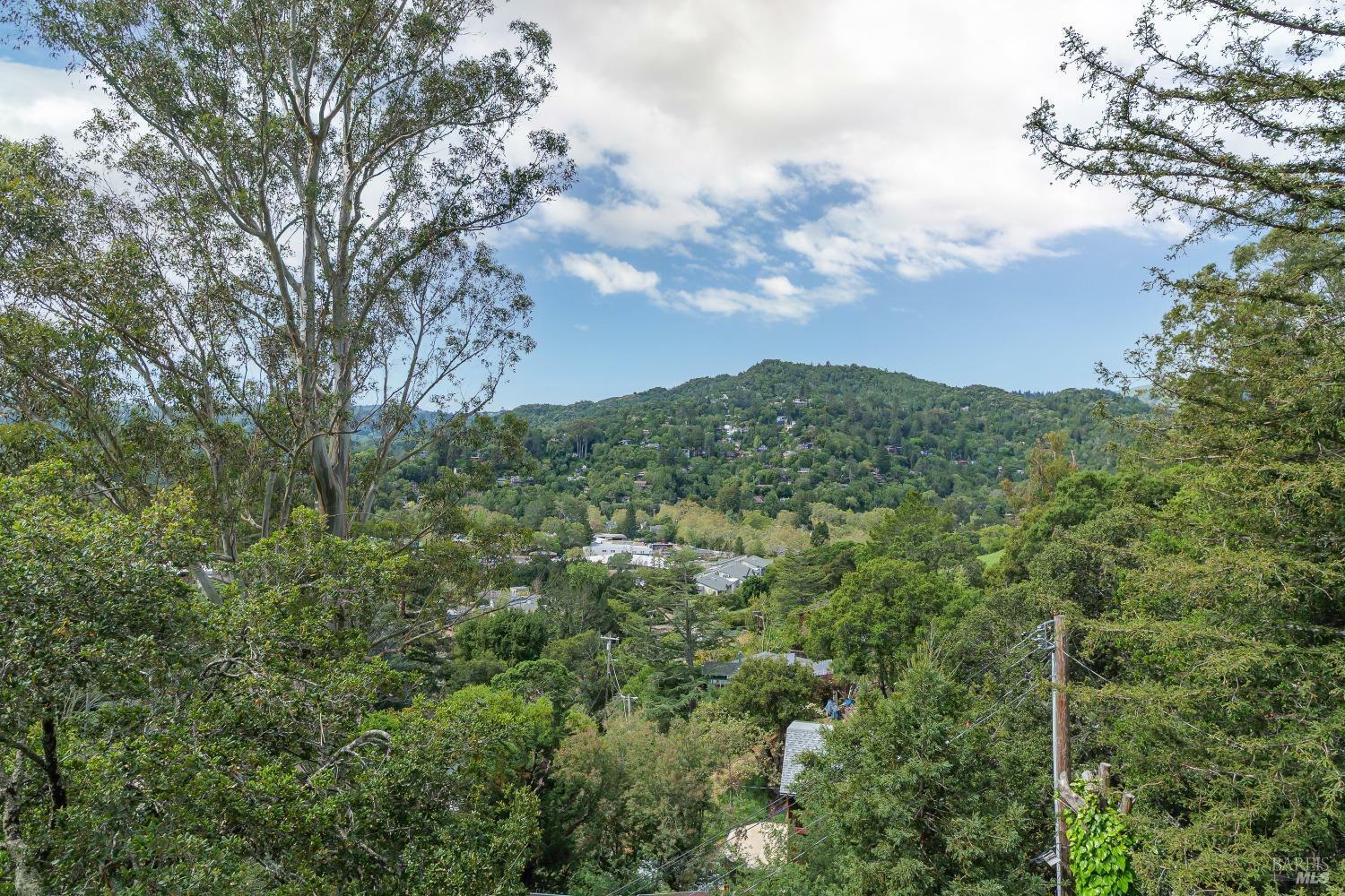 Property Photo: 148 Ridgeway Avenue CA 94930