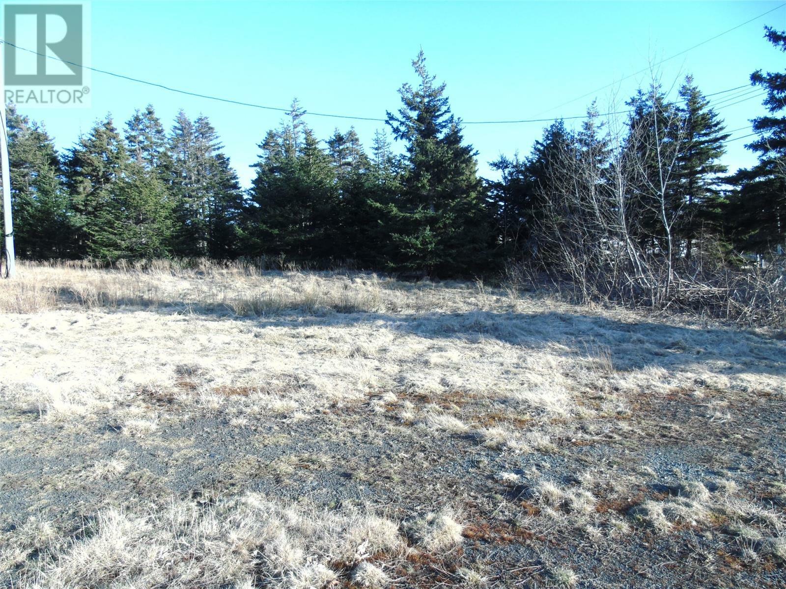 Property Photo:  19 Dobbin'S Road  NL A0A 4H0 