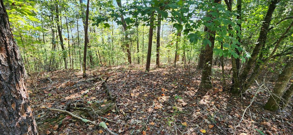 Property Photo: Lot 1699 Shade Tree Drive GA 30175