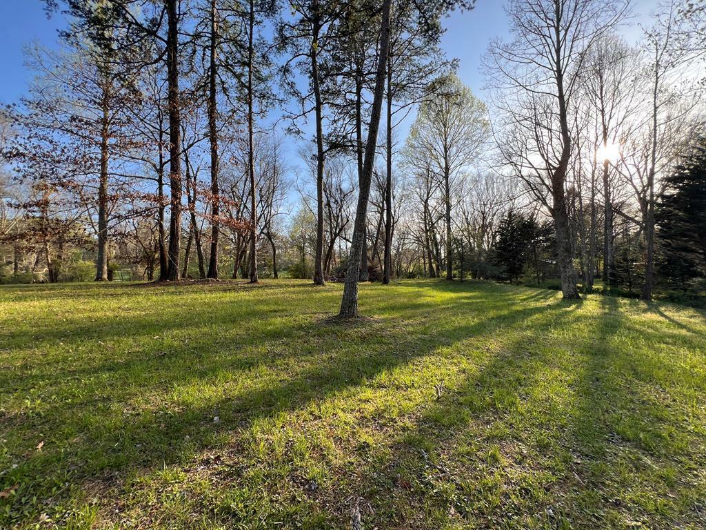 Property Photo: Lot 2 Preserve Road NC 28906