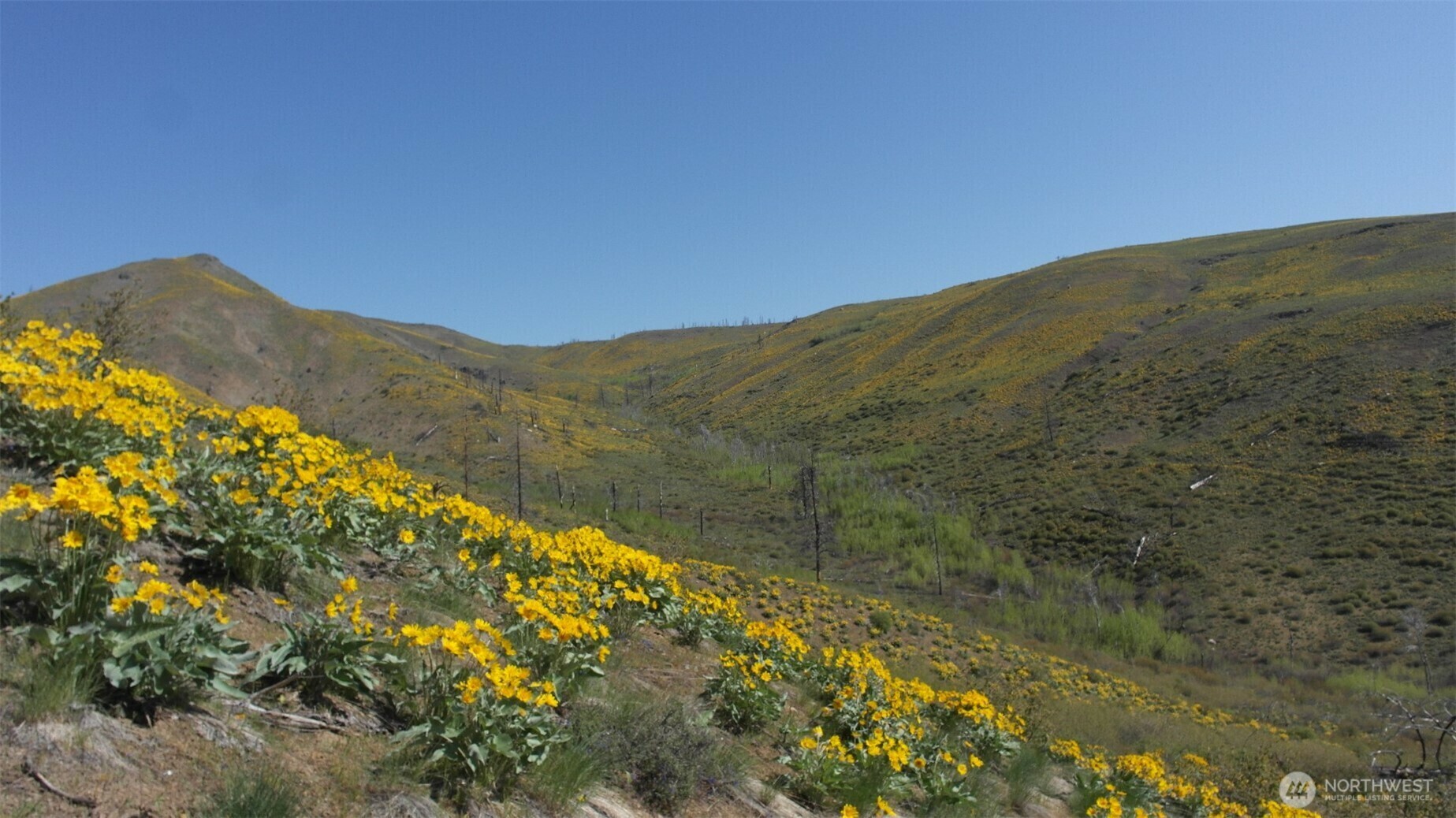 Property Photo: 8 Myers Creek Road WA 98856