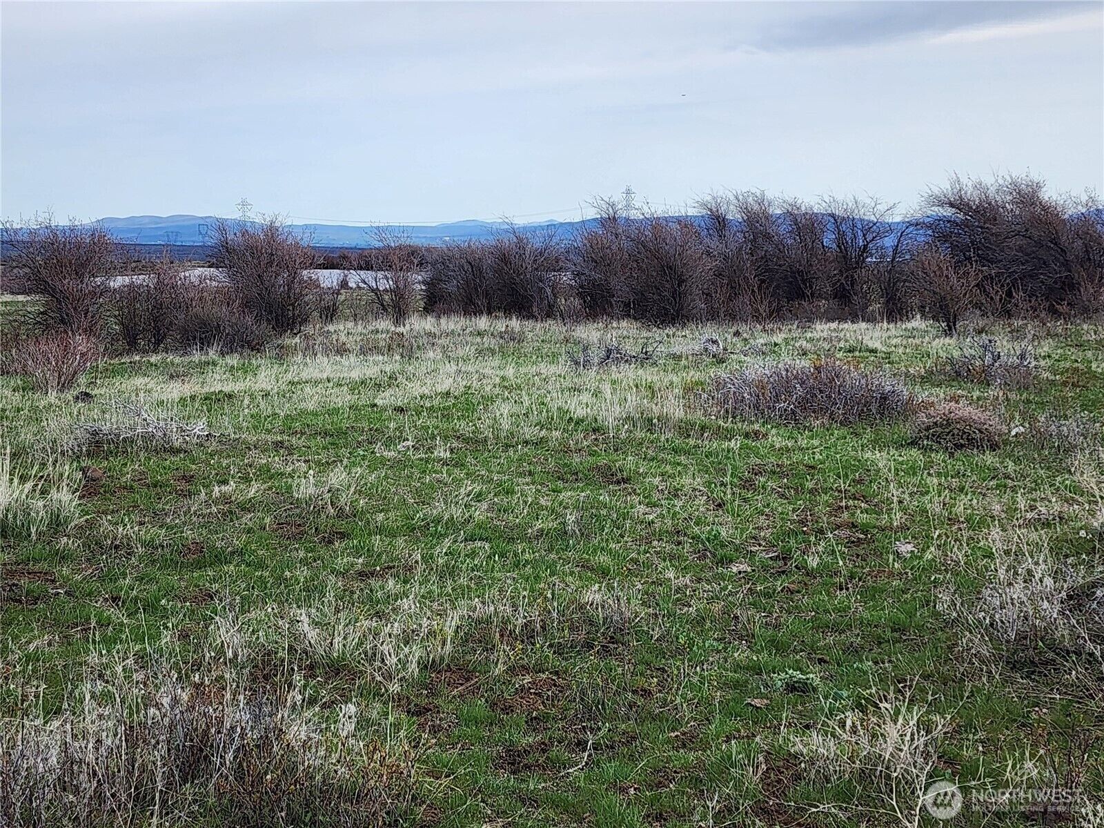 Property Photo:  15800  Reecer Creek Road  WA 98926 