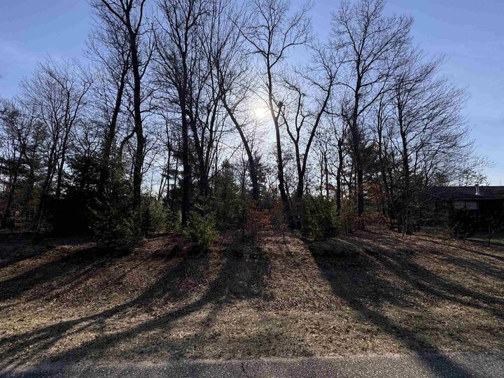 362 Meadowbrook Lane  Wisconsin Dells WI 53965 photo