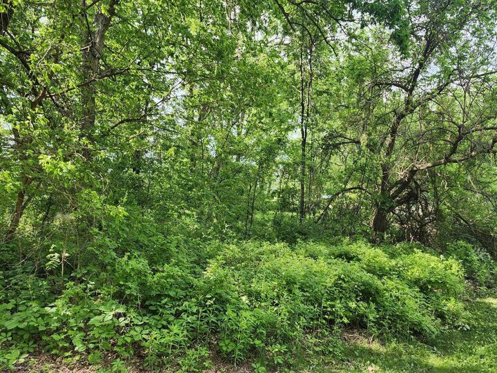Property Photo:  Gingers Drive  WI 53573 