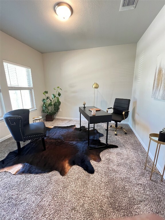 Property Photo:  8801 Mina Drive  TX 78747 