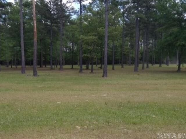 Lot 3 Rexanne Dr  Hampton AR 71744 photo
