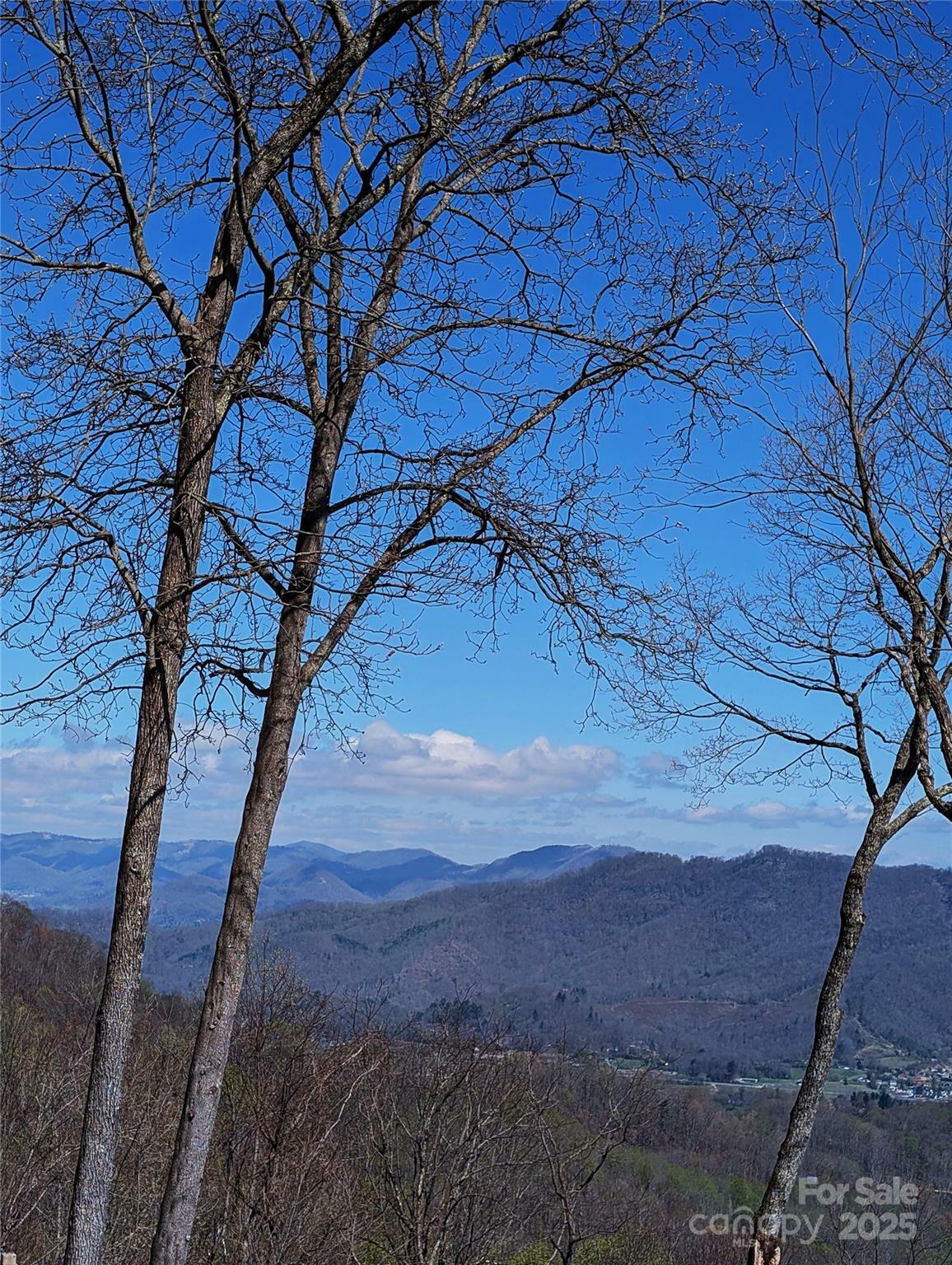 Property Photo:  40 Dorchester Road  NC 28785 