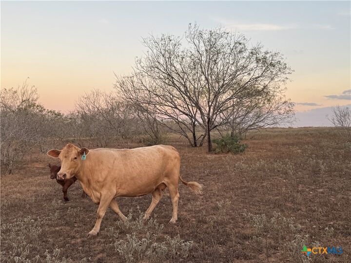 Property Photo:  Tbd Fm-1681  TX 78160 