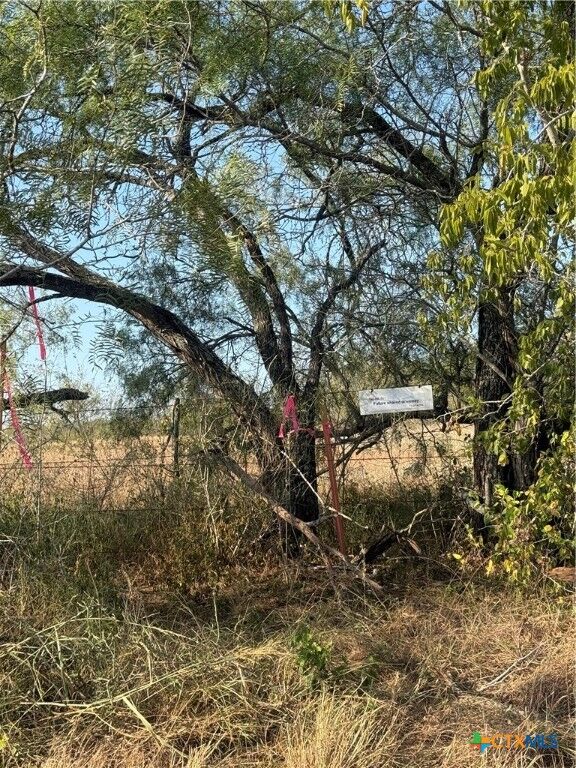 Property Photo:  Tbd Fm-1681  TX 78160 