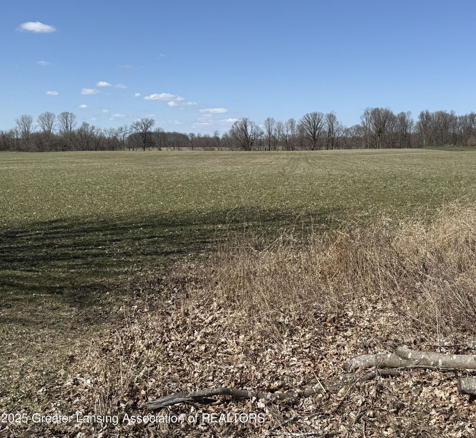 Property Photo: 0 Moyer Road MI 48895