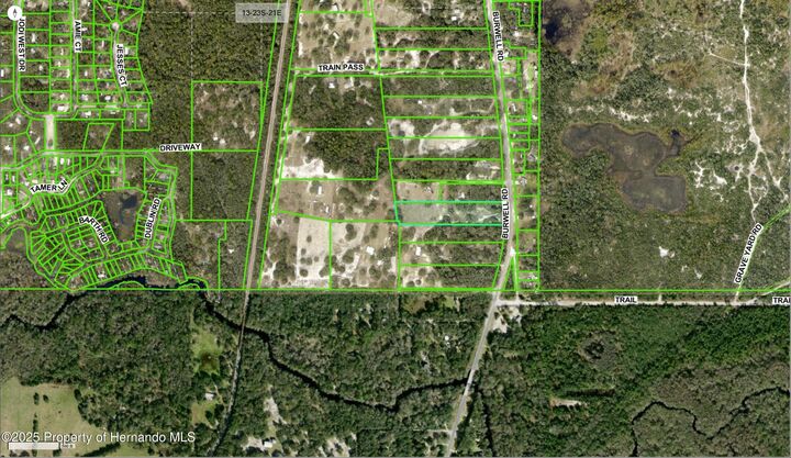 Property Photo:  3231 Burwell Road  FL 33597 