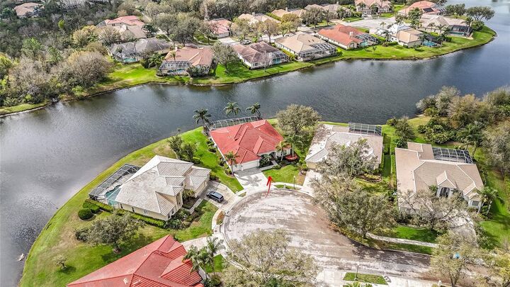 Property Photo: 18002 Forest Retreat Lane FL 33647