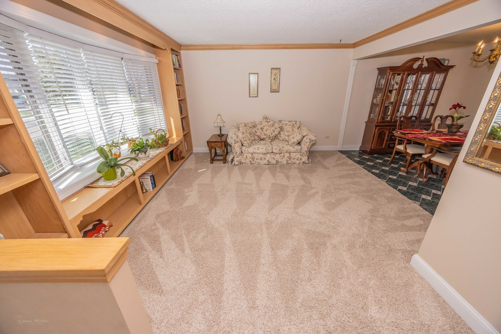 Property Photo: 506 Danny Drive IL 60404