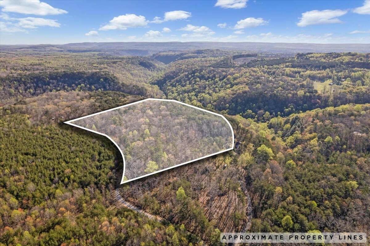 Property Photo: 1 Seagroves Rd TN 37387