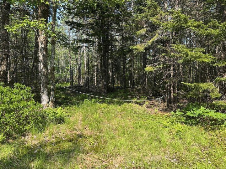 Property Photo:  Lot 6 John Cook Road  NS B0W 3E0 