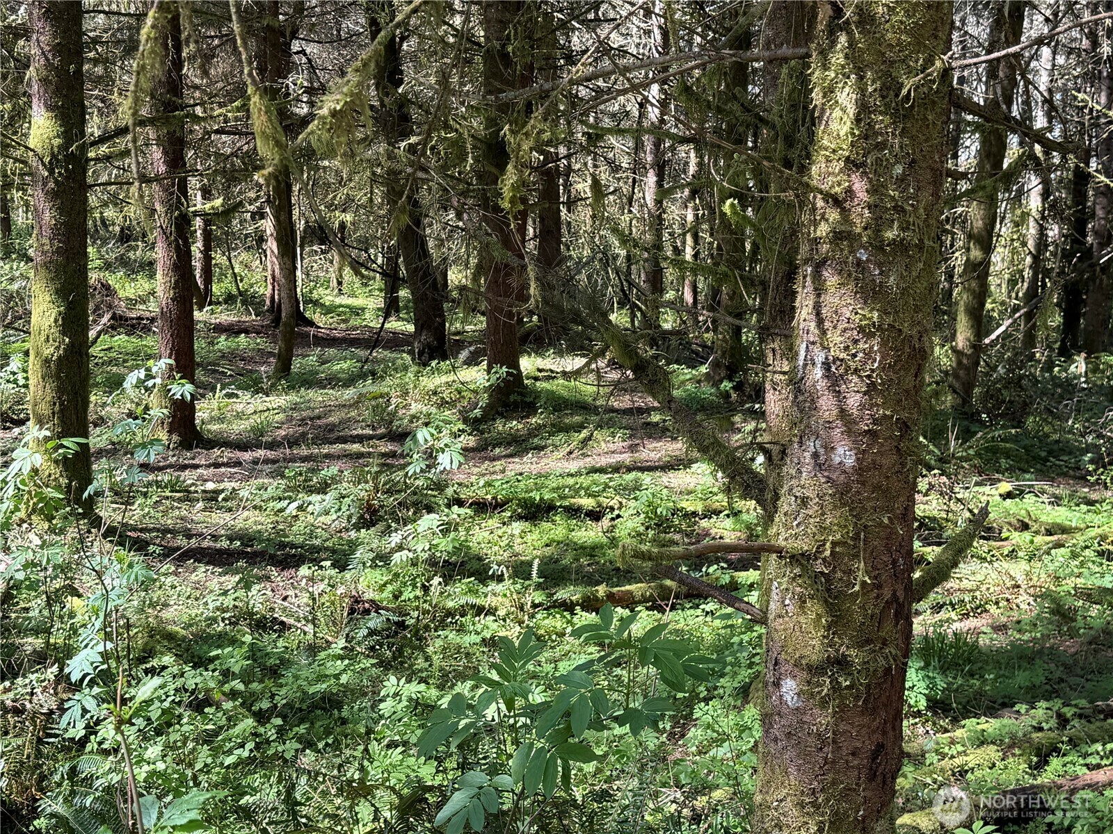 Property Photo: 27403 114th Avenue E WA 98338