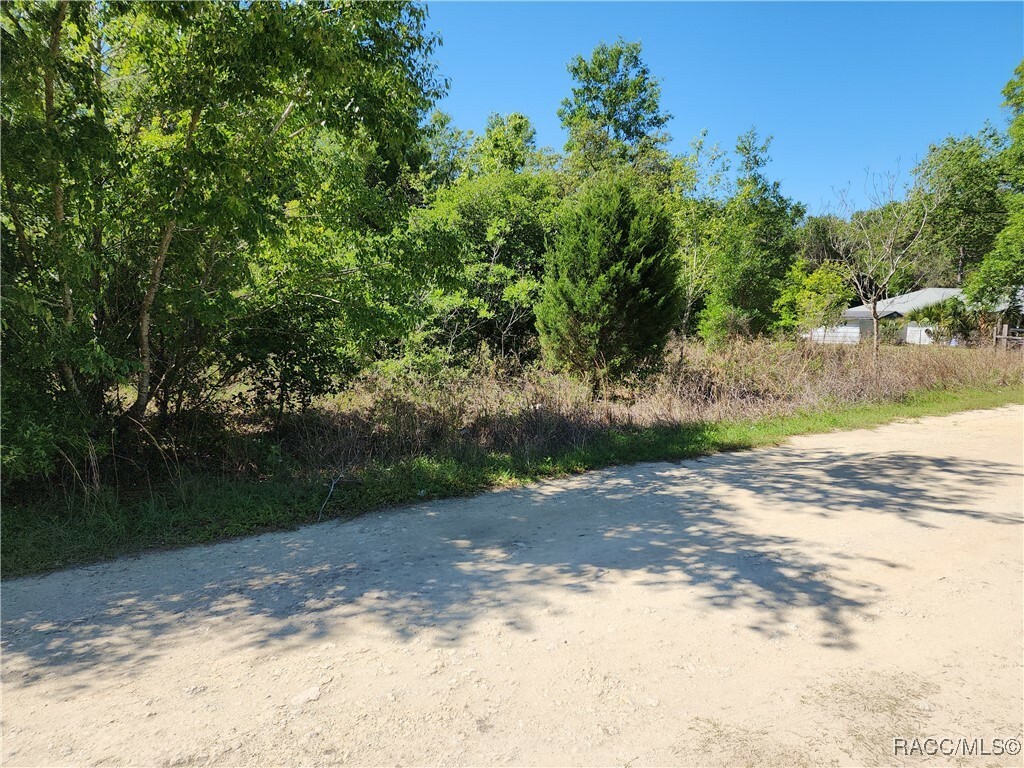 Property Photo: 2405 Wilson Street FL 34453