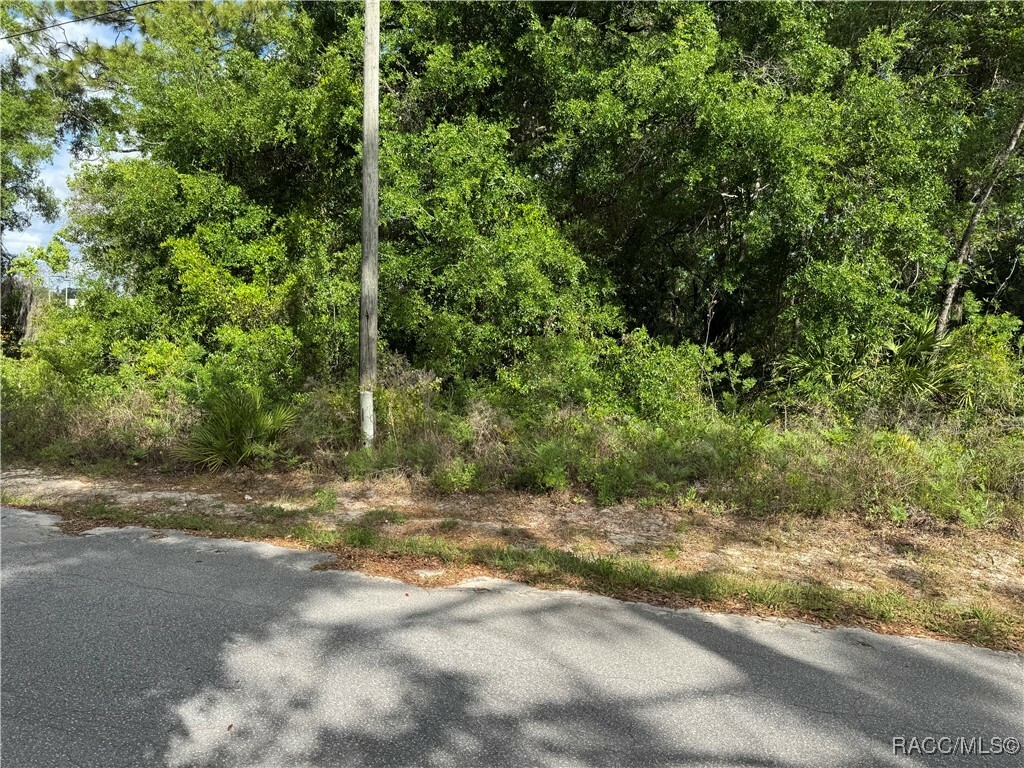Property Photo: 6623 W Gannet Place FL 34429