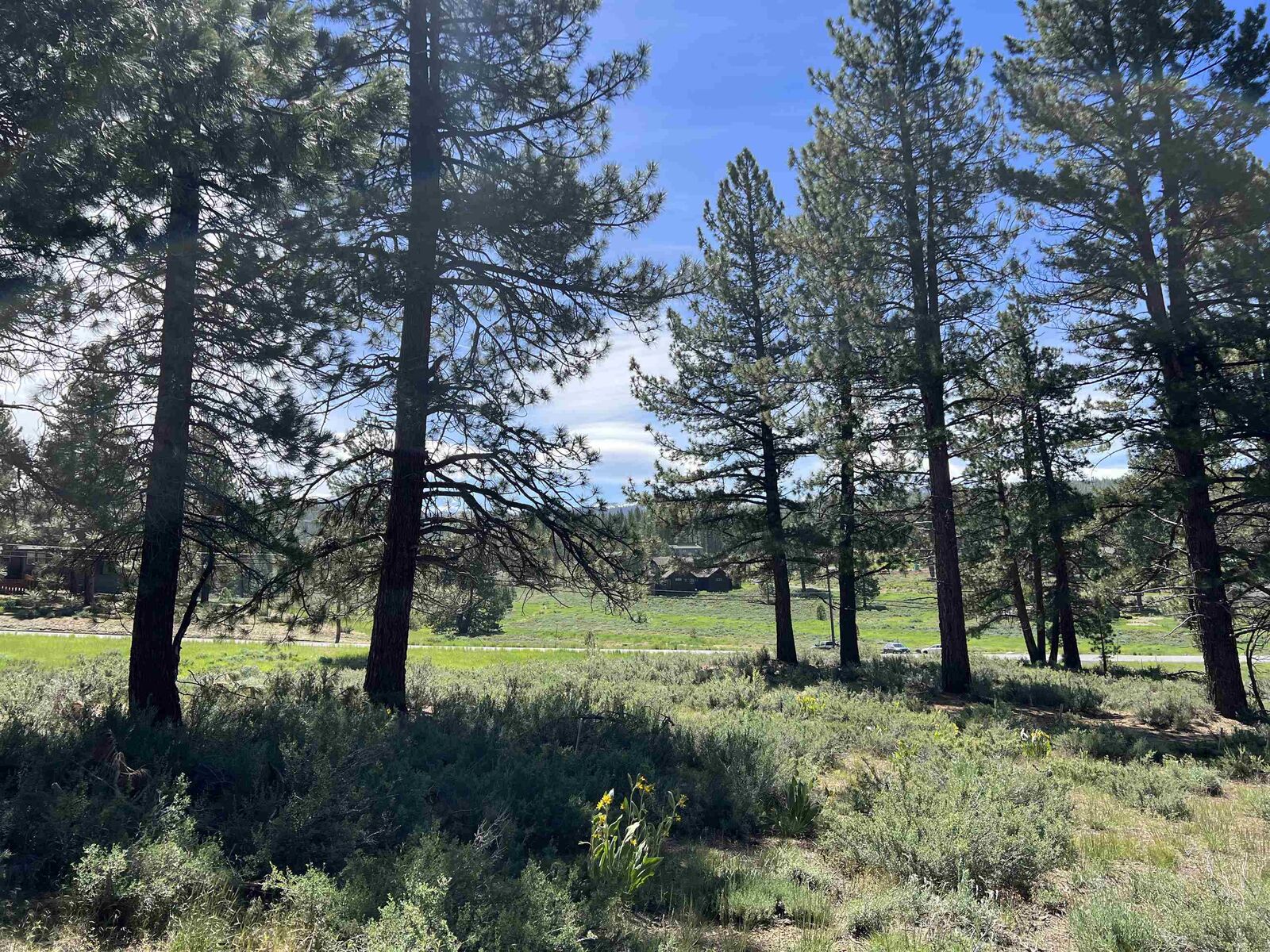Property Photo: 15865 Exeter Court CA 96161-1266