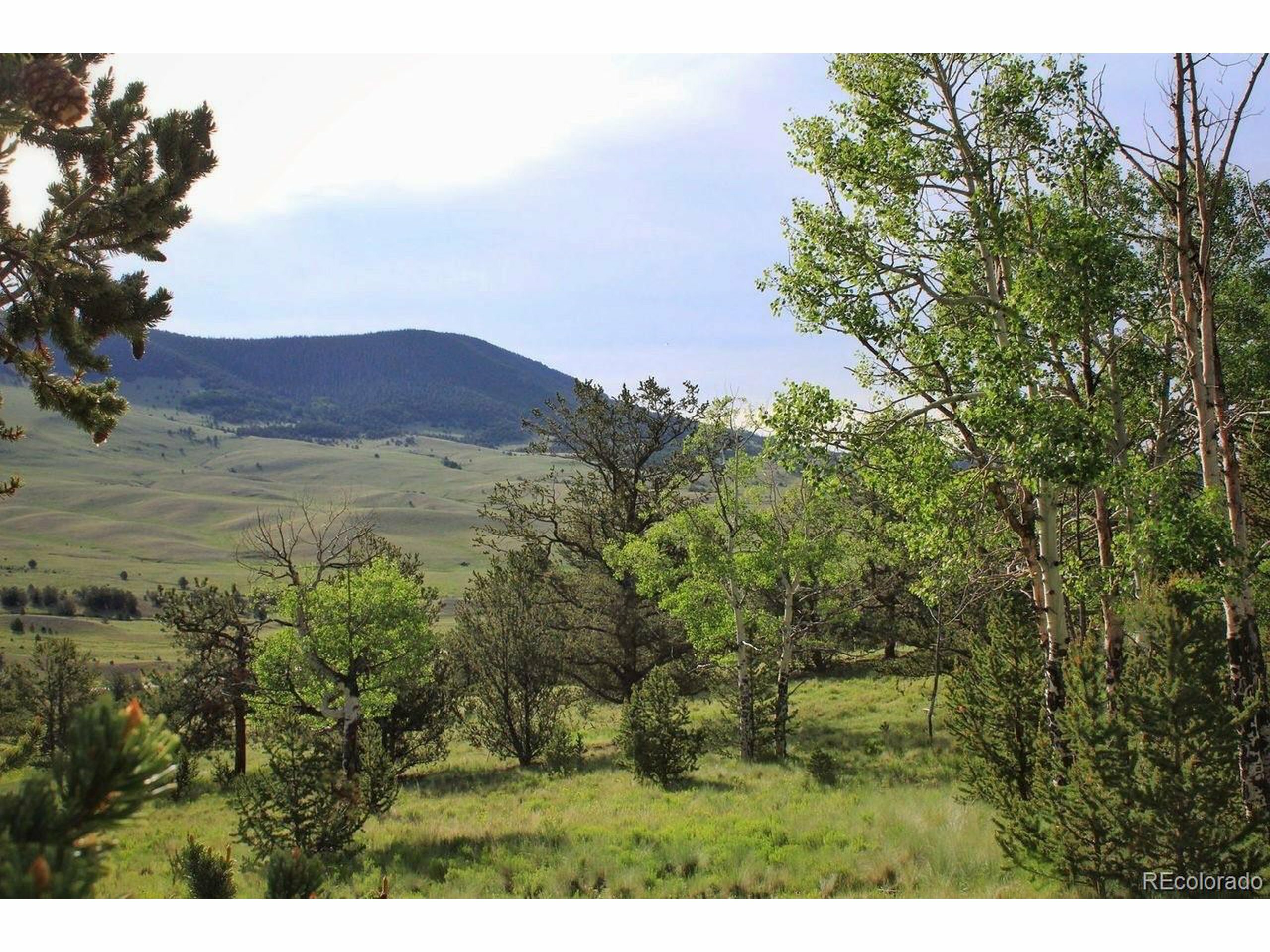 Property Photo: Highway 9 CO 80820
