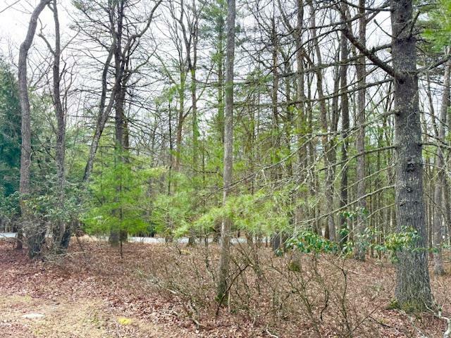 Lot 14 Magnolia Drive  Glen Spey NY 12737 photo