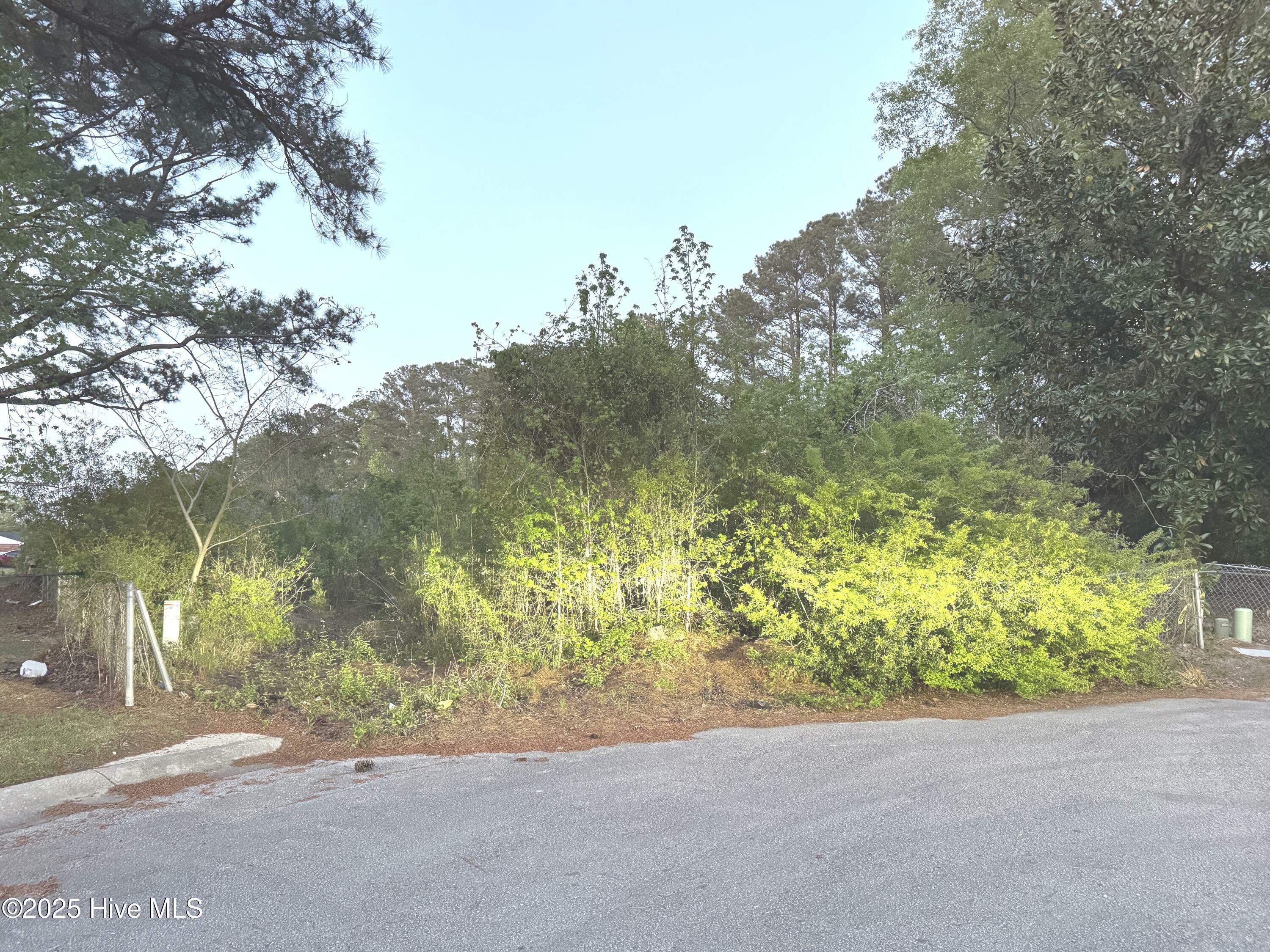 Property Photo: 103 S Glen Court NC 28540