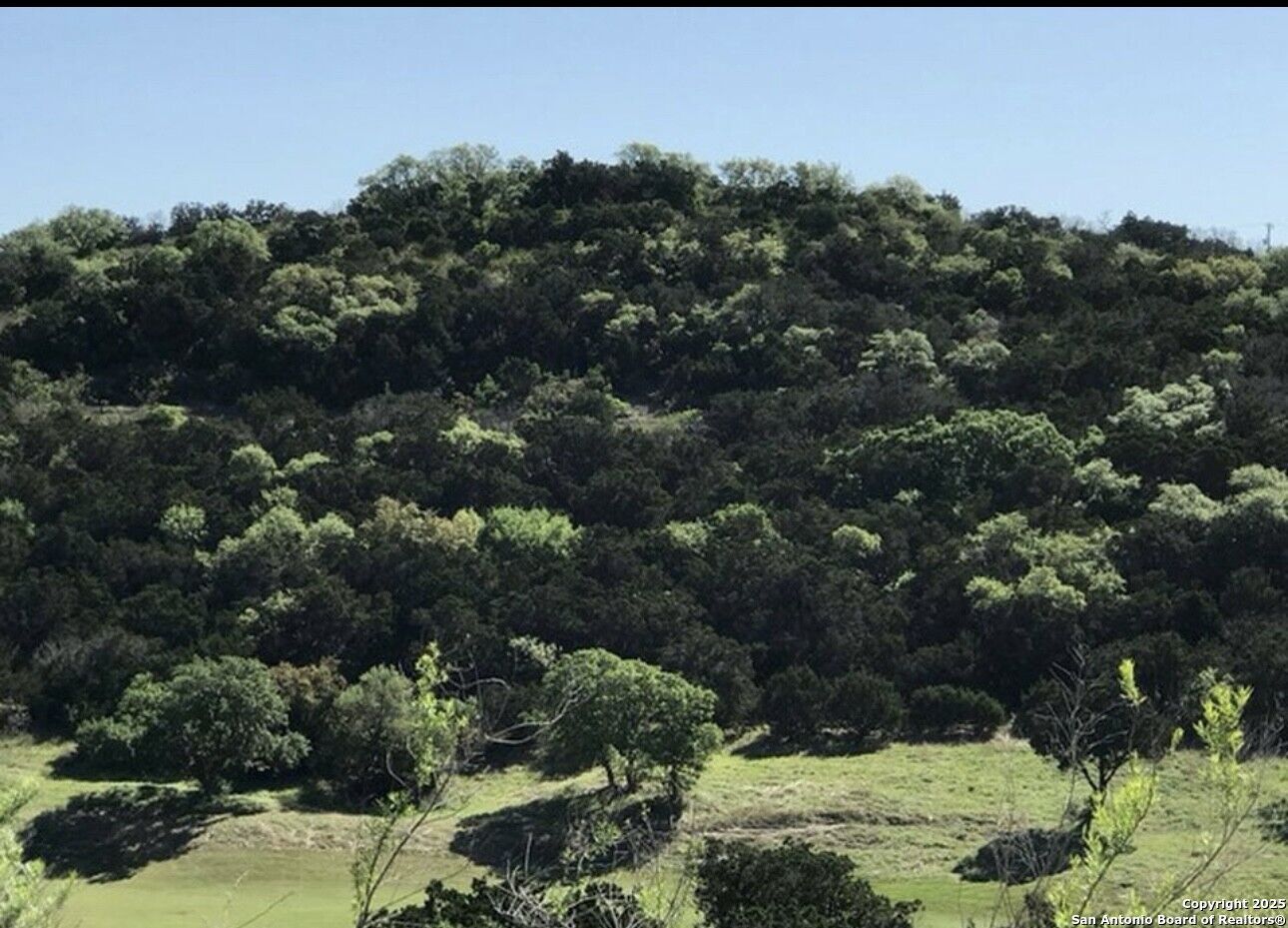 Property Photo: 17719 Rancho Diana TX 78255