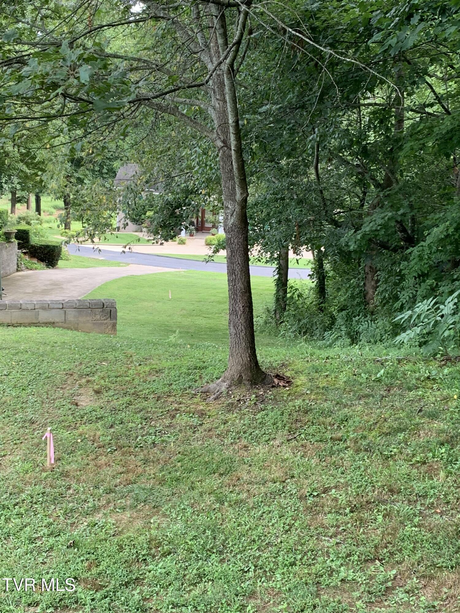 Property Photo: 0 Arnold Palmer Dr TN 37743
