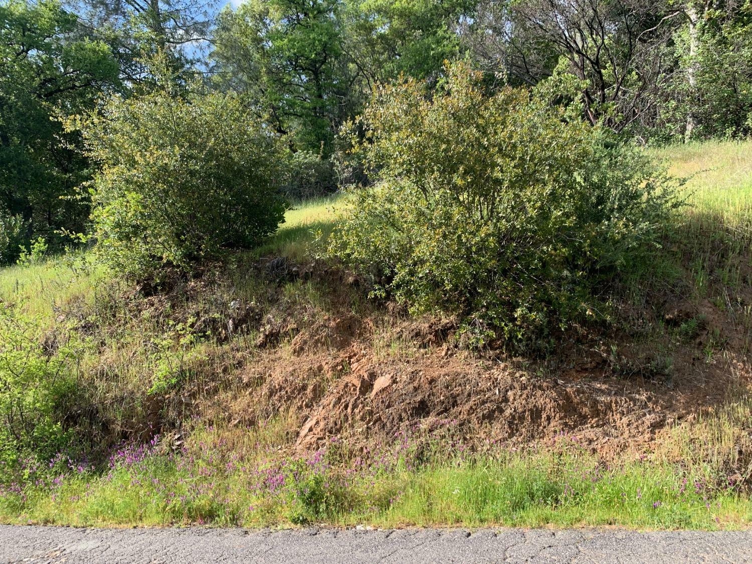 Property Photo: 2193 Skunk Ranch Road CA 95247