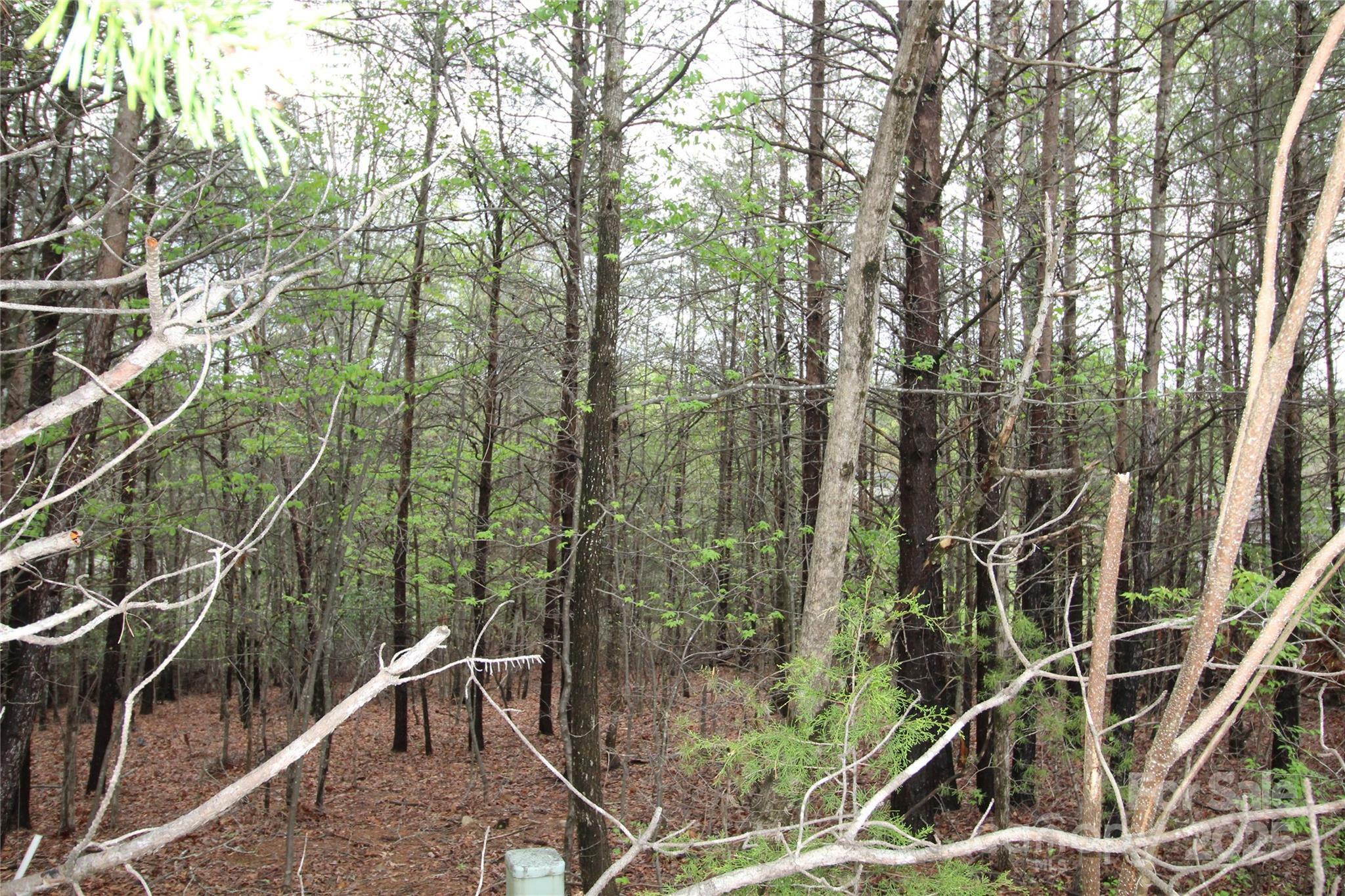 Property Photo: Lot #10 Ridge Way Lot 10 NC 28752