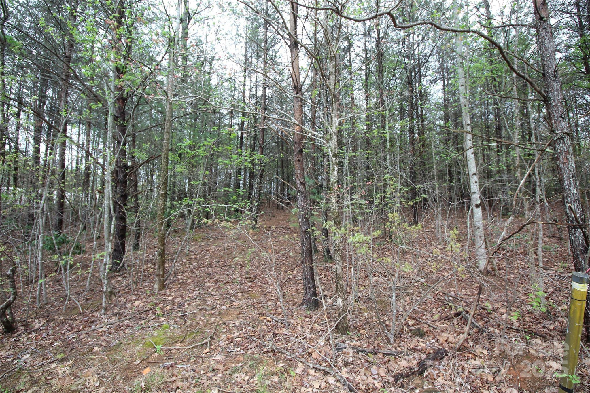 Property Photo: Lot 4 Ridge Way Lot 4 NC 28752