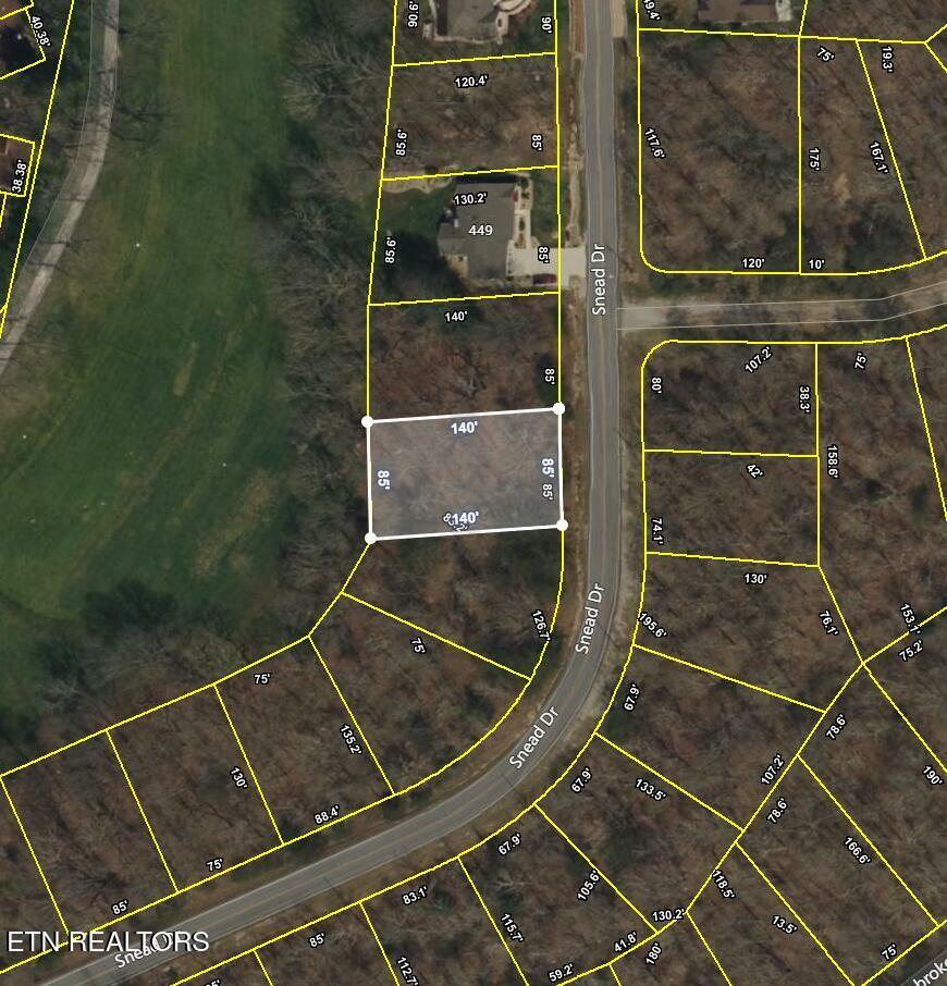Property Photo:  445 Snead Drive  TN 38558 