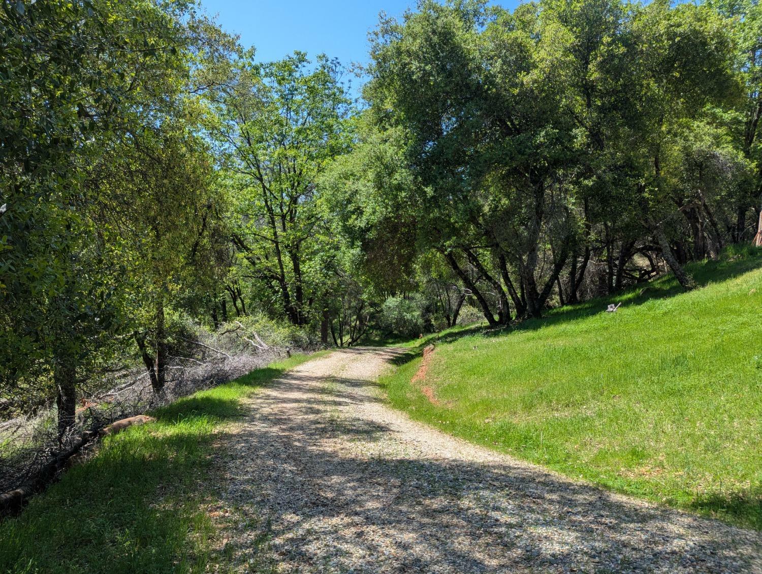 Property Photo: 19128 Buck Ridge Road CA 95949