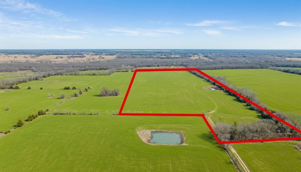 Property Photo:  Tbd County Road 14790  TX 75462 