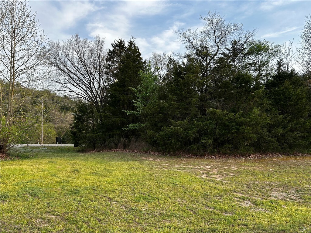 Property Photo:  Leatherwood Drive  AR 72631 