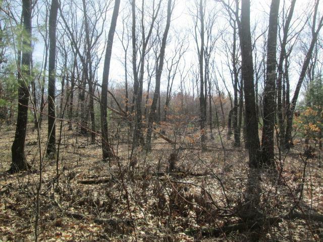 Property Photo: Lot 1 Cypress Avenue WI 54930