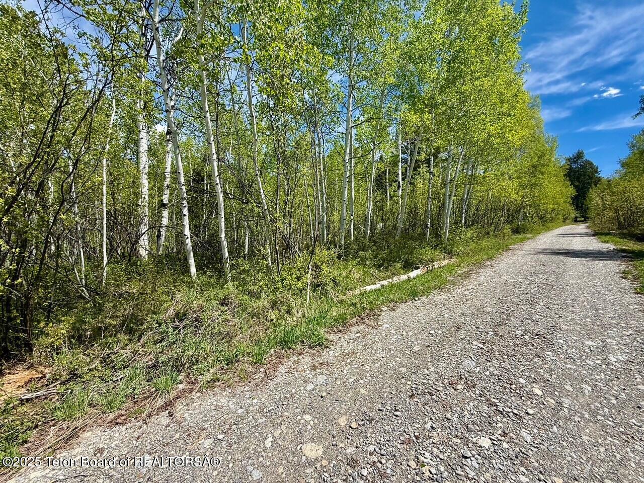 Property Photo:  74/75 E Elkhorn Dr  WY 83127 