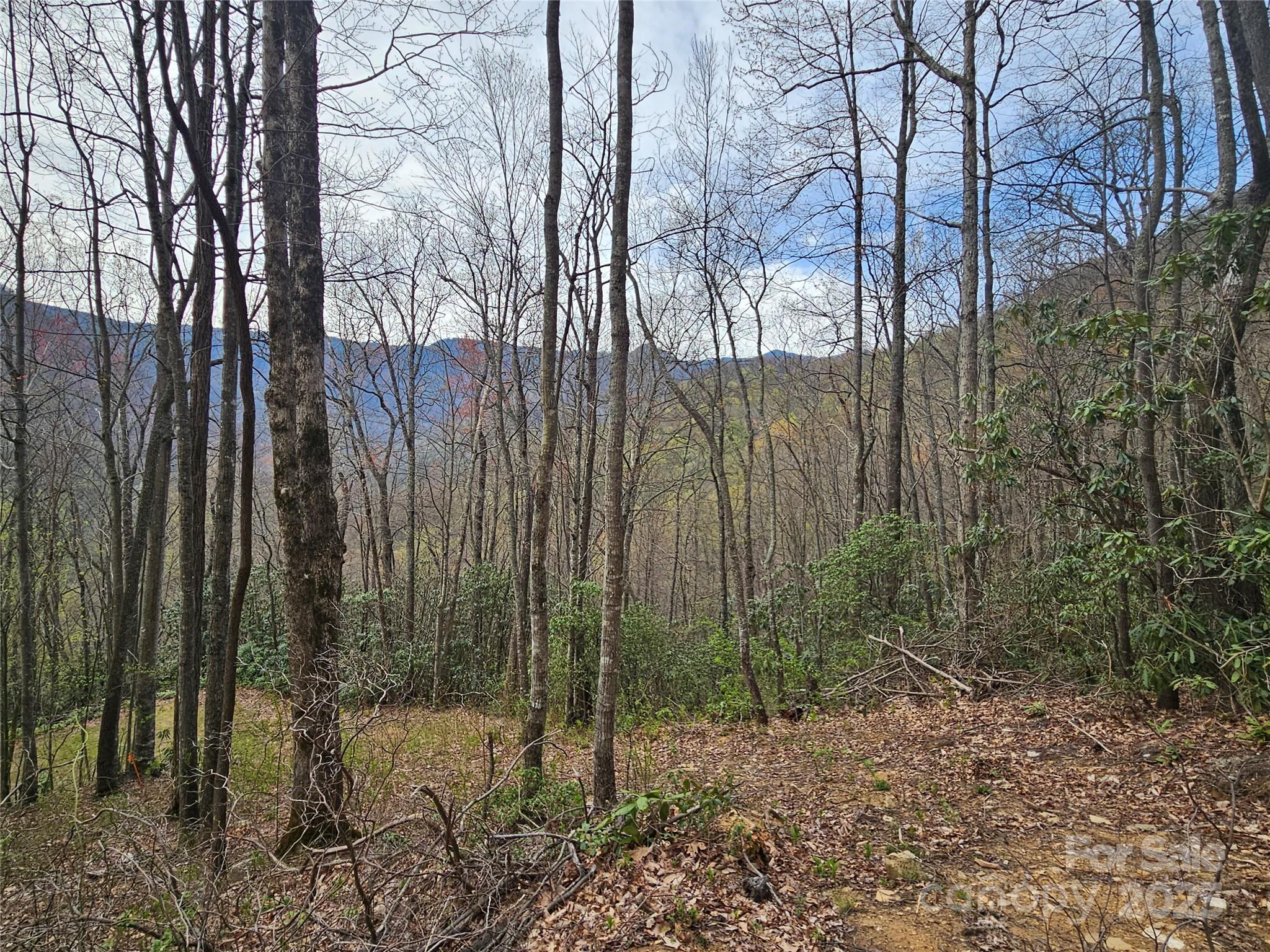 Property Photo:  Tbd Davy Crockett Drive 109-112  NC 28751 