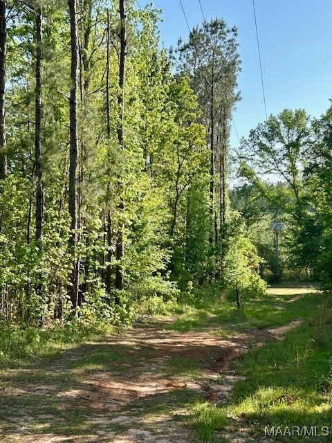 Property Photo: 0 Sherling Lake Road AL 36037