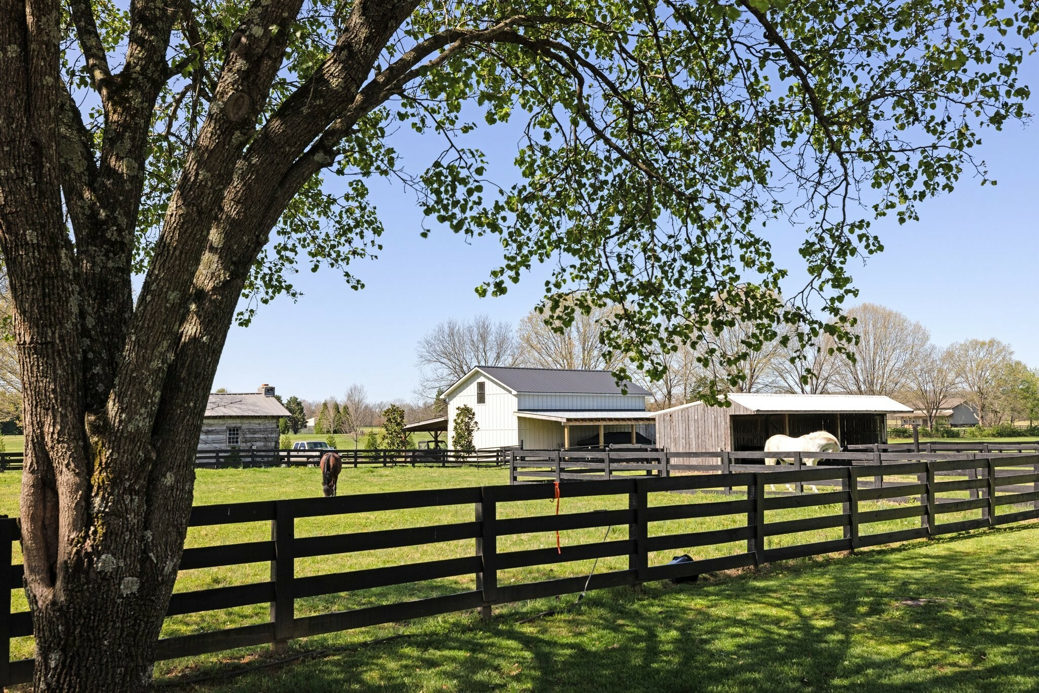 426 Cotton Ln  Franklin TN 37069 photo