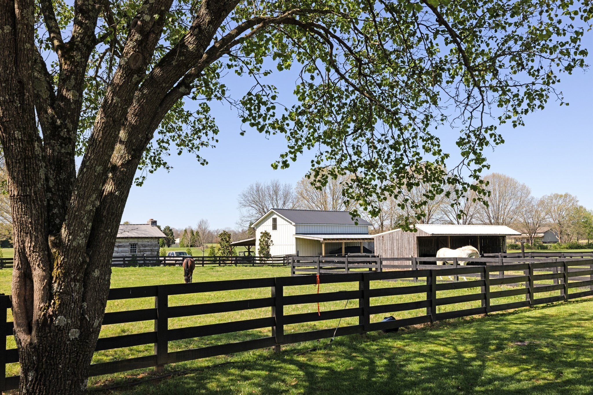 426 Cotton Ln  Franklin TN 37069 photo