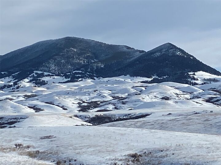 Property Photo:  74 Burley Hill Road  MT 59412 