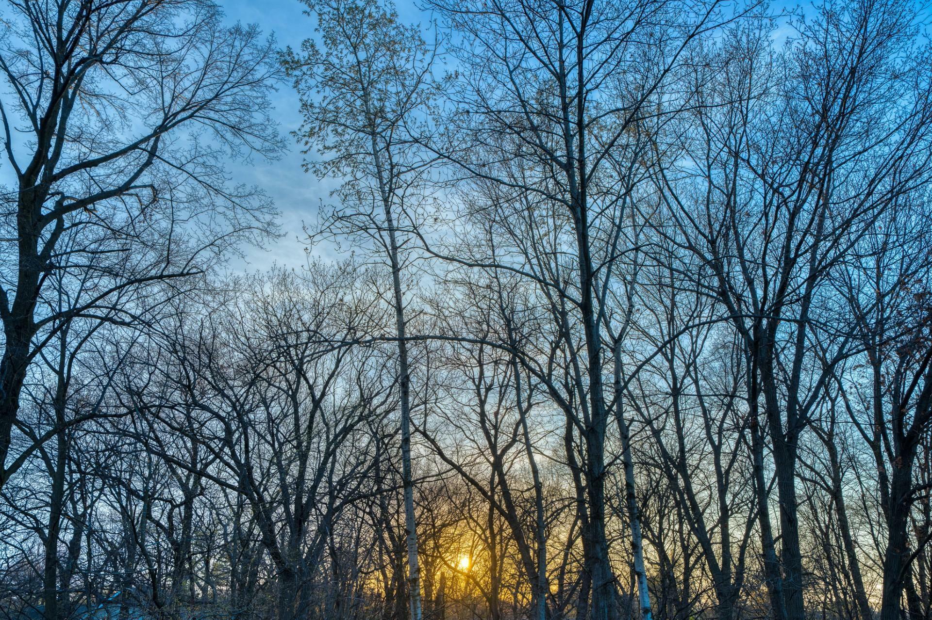 Property Photo: 9520 Leaftop Circle MN 55347