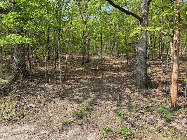 33 Venus Avenue  Holiday Island AR 72631 photo