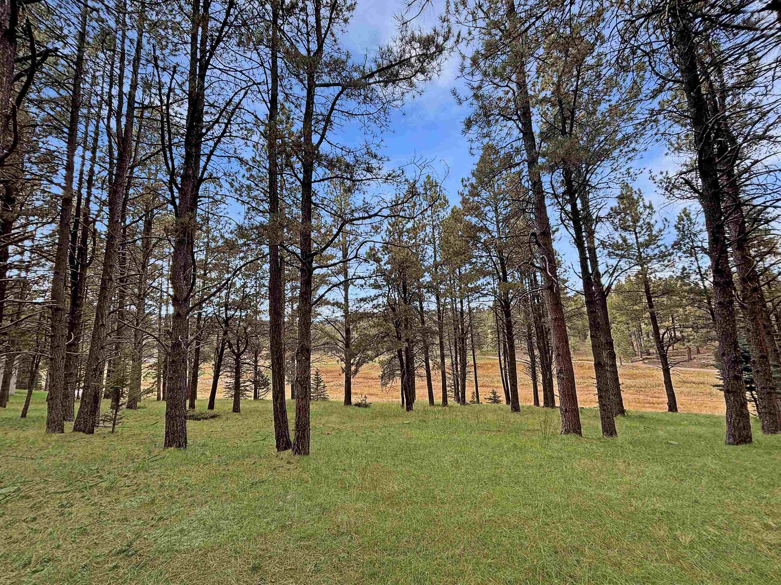 Property Photo:  Lot 1133 Spyglass Hill Rd  NM 87710 