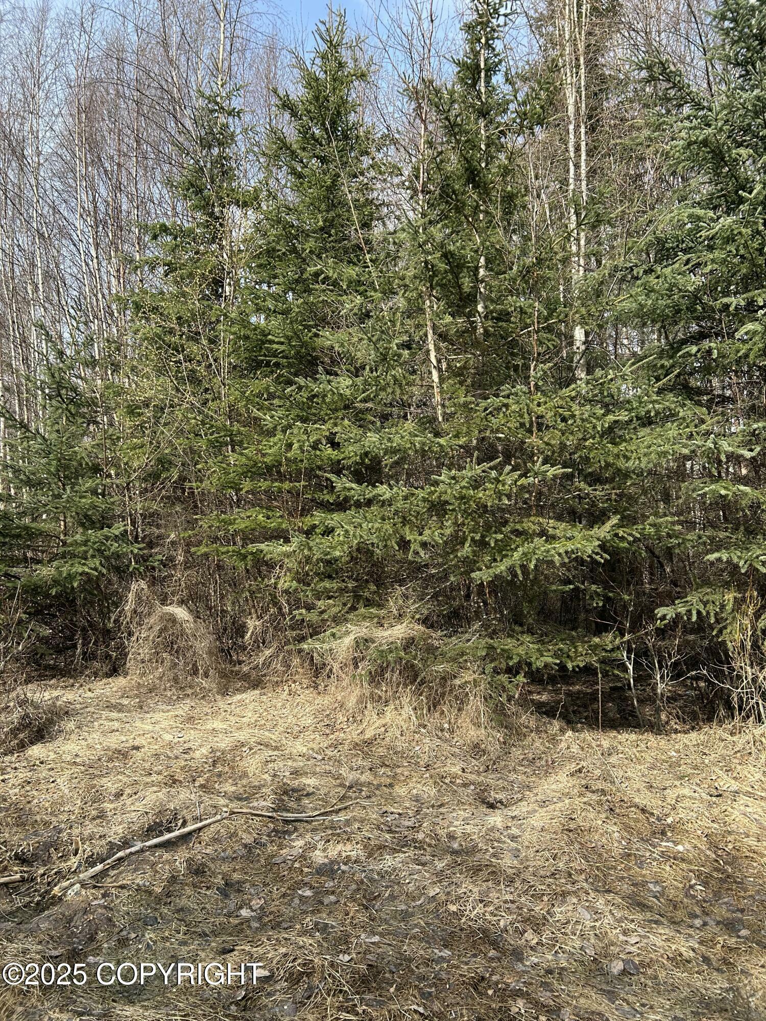 Property Photo: L18 B2 Chugach Meadows AK 99507