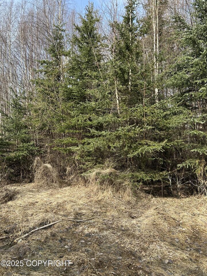 Property Photo:  L18 B2 Chugach Meadows  AK 99507 