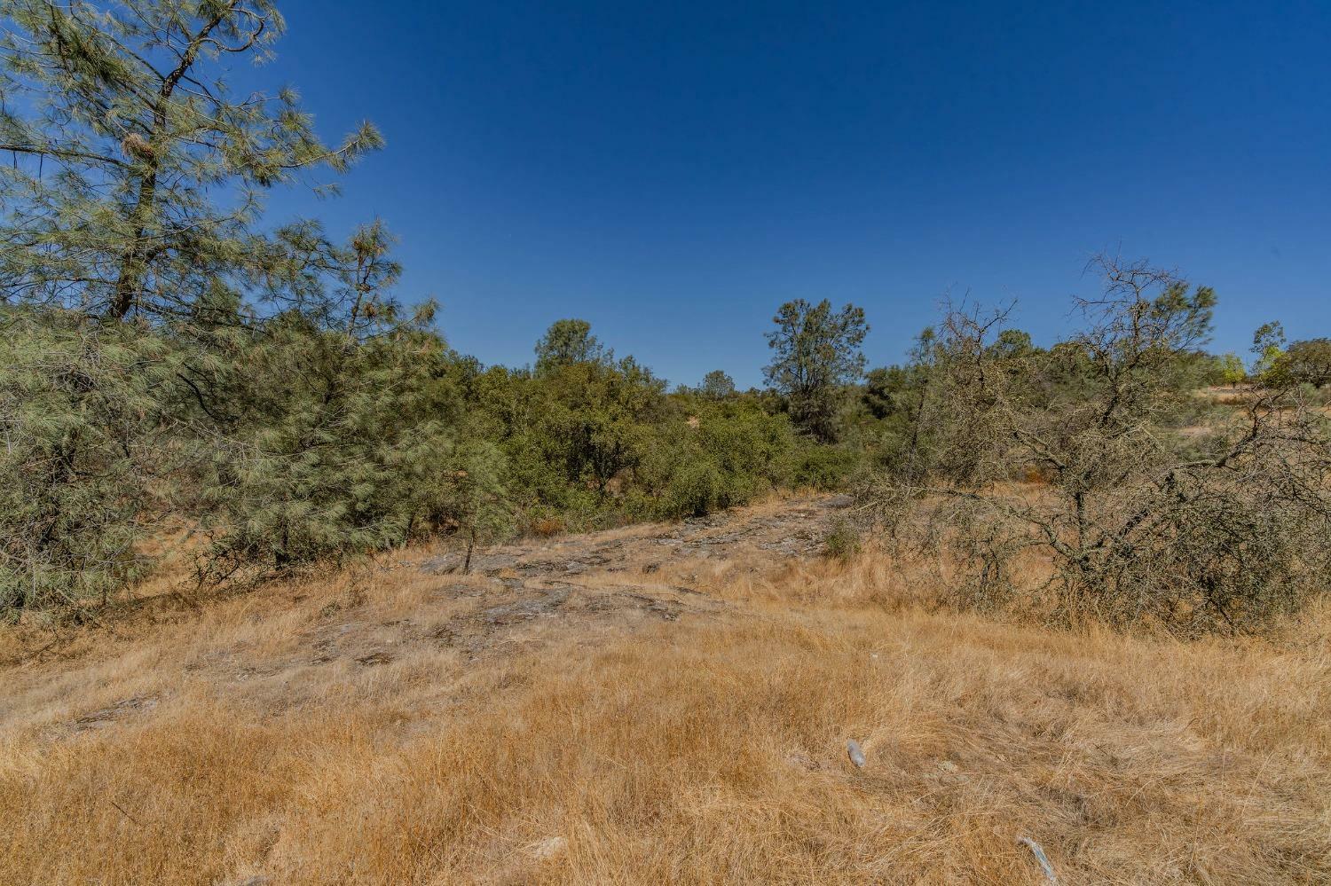 Property Photo:  0 Brandy Lane  CA 95225 