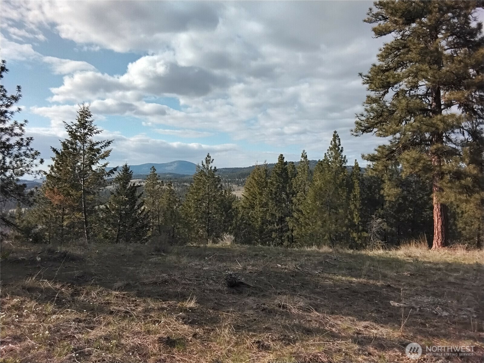 Property Photo: 447 Roundabout Road WA 98855