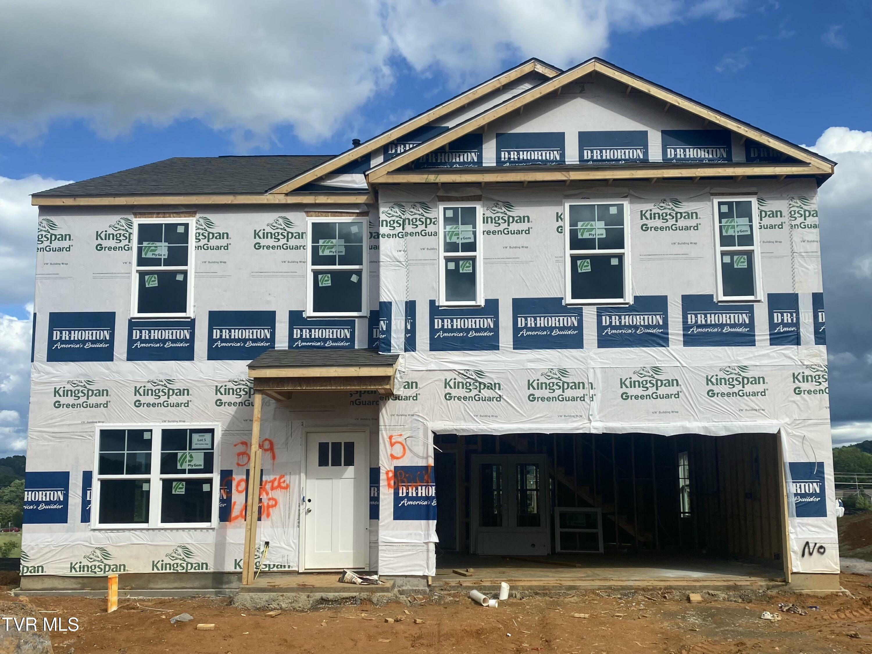 309 Cookie Loop  Gray TN 37615 photo